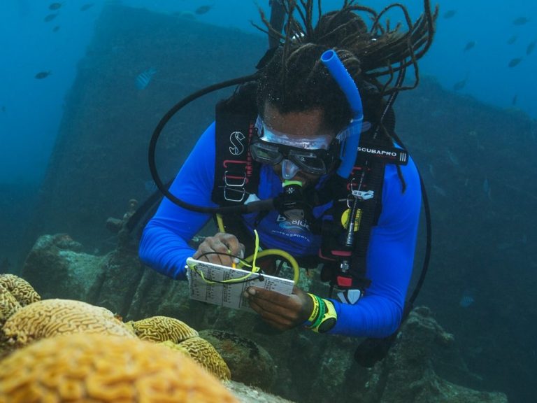 NX21 Buceo - Advanced 4