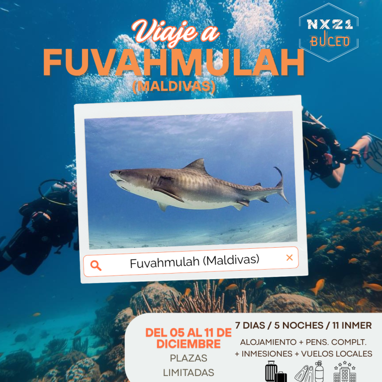 NX21 Buceo - Viaje Fuvahmulah Maldivas NX21 Buceo - Viaje Fuvahmulah Maldivas