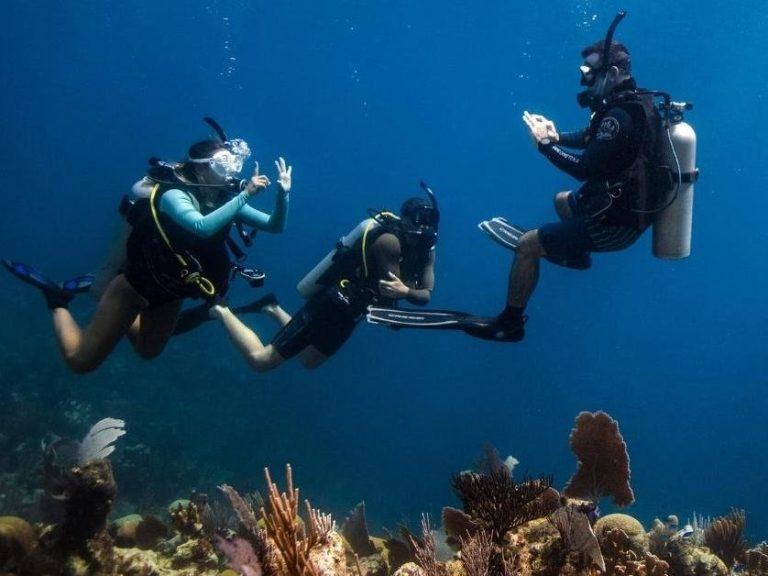 NX21 Buceo - Refresh 2