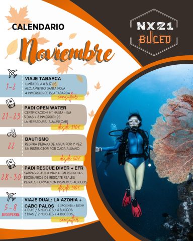 Calendario de actividades de buceo para noviembre, con ilustraciones y fechas destacadas.