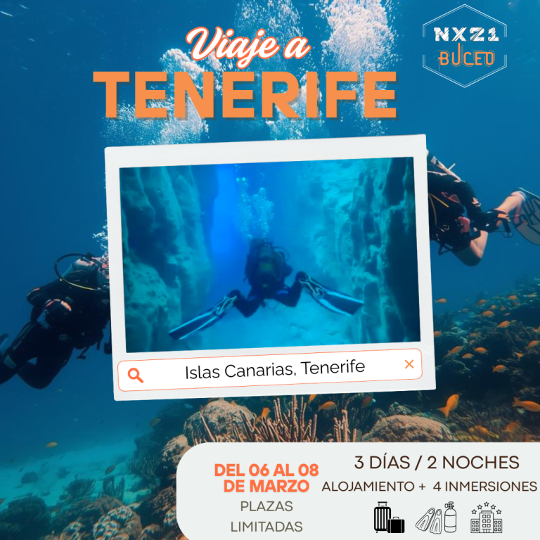 NX21 Buceo - Viaje Tenerife NX21 Buceo - Viaje Tenerife